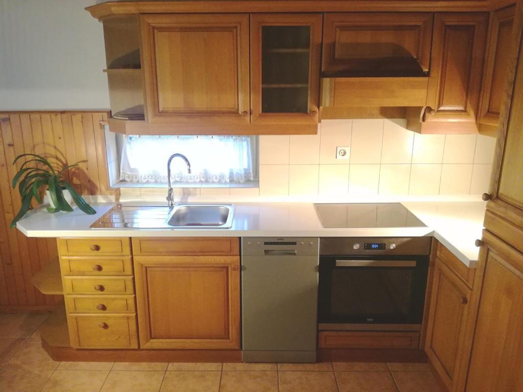 Apartments Ana كْرانْيِسكا غورا المظهر الخارجي الصورة